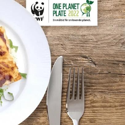 One Planet Plate